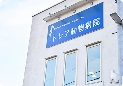 トレア動物病院