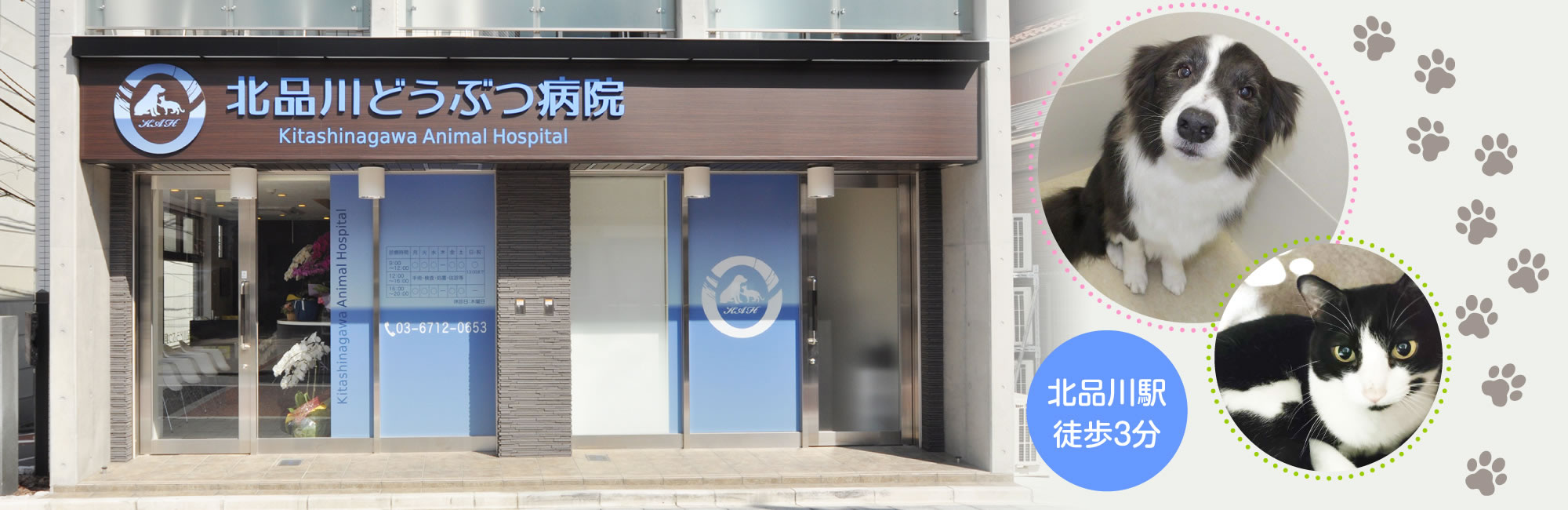 北品川どうぶつ病院