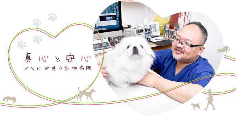 博多北ハート動物病院
