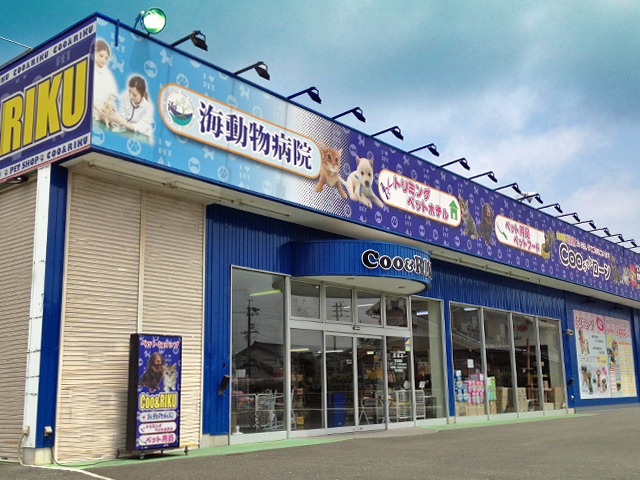 海動物病院　豊橋往診所