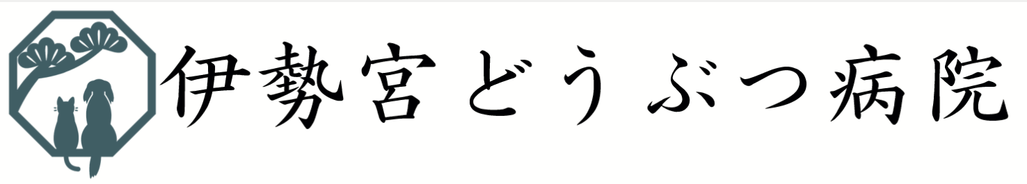 伊勢宮どうぶつ病院
