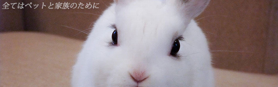 はせがわ動物病院