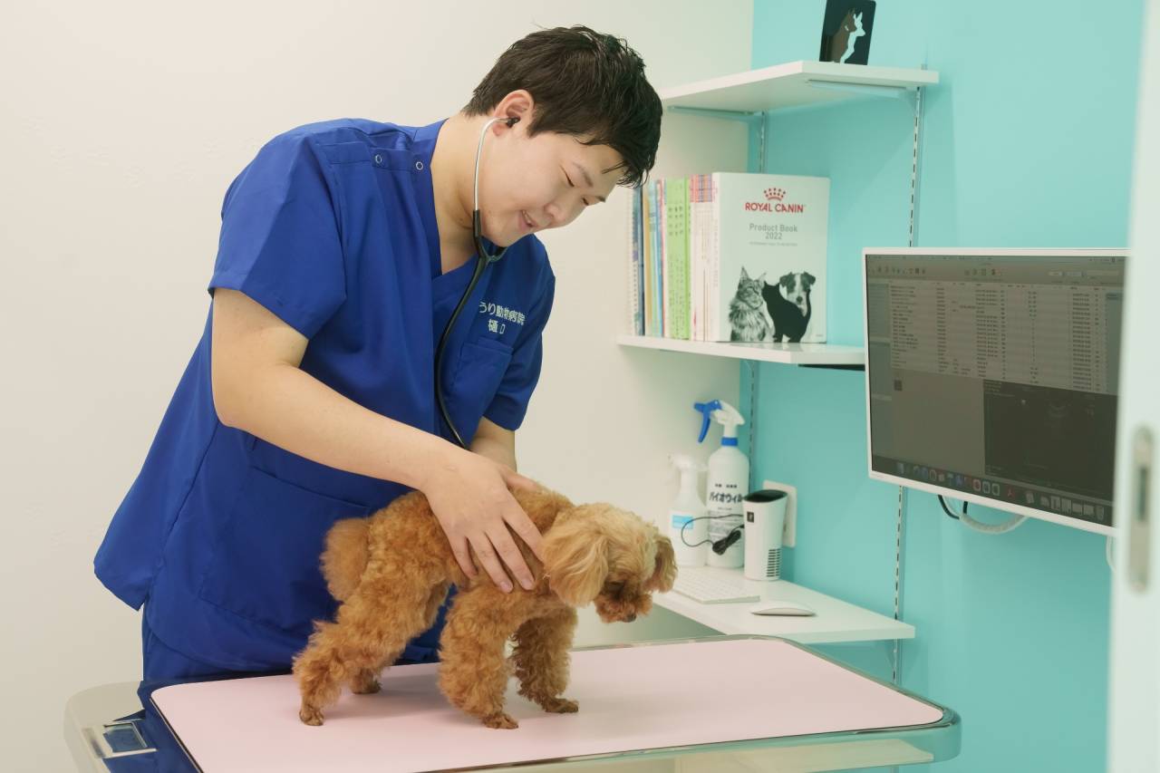 ゆうり動物病院