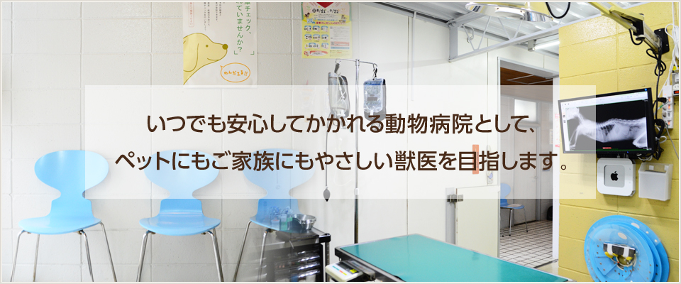 コータどうぶつ病院