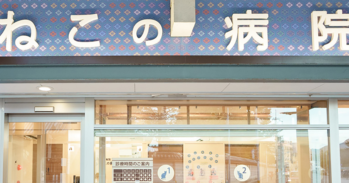 動物病院 京都 ねこの病院