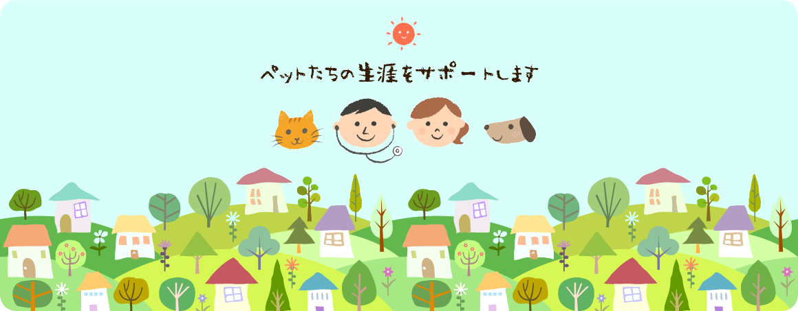 もとまち動物病院