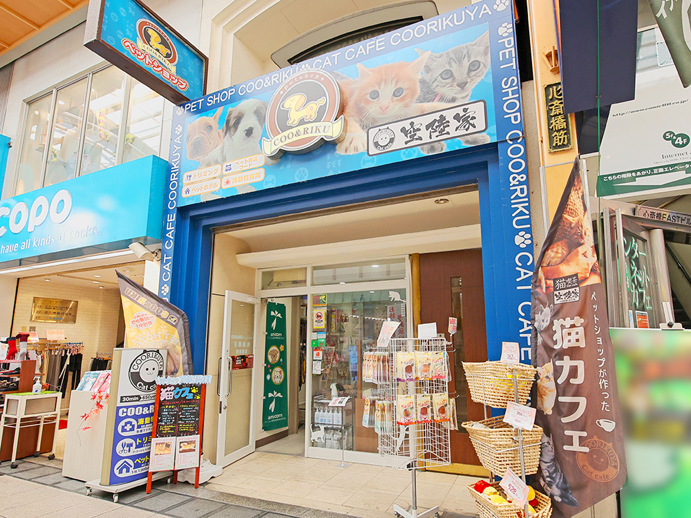 海動物病院　新心斎橋往診所