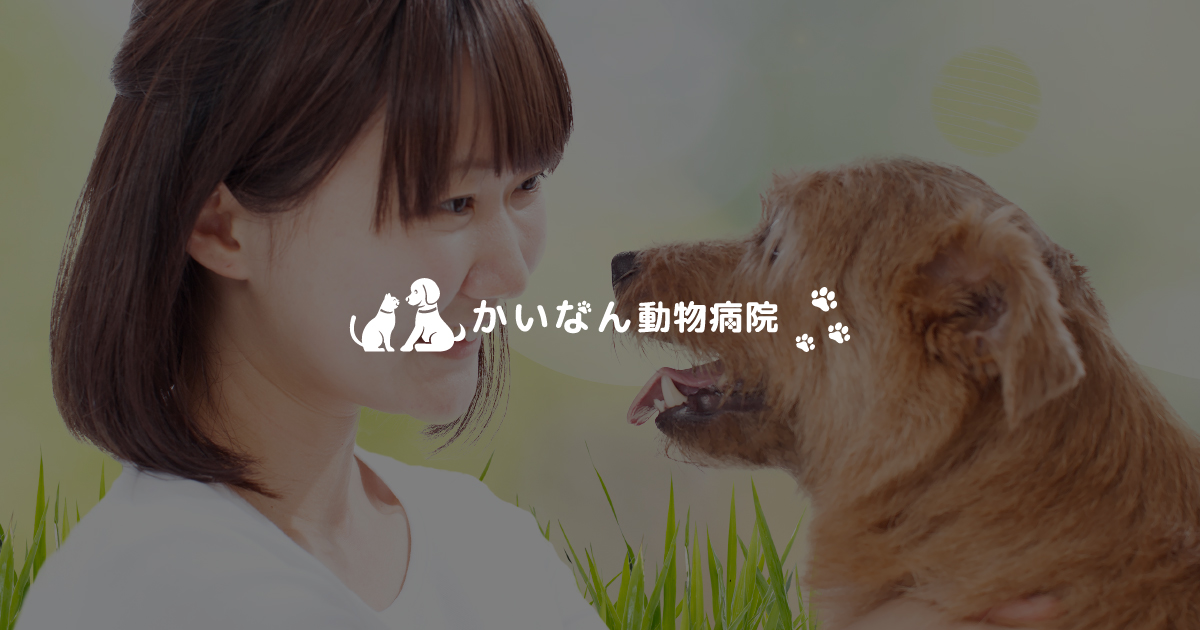 かいなん動物病院