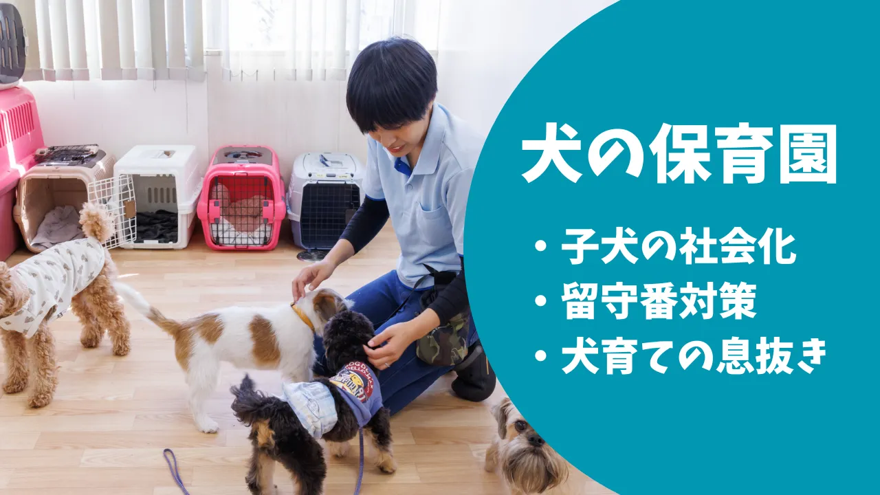 犬のしつけとトリ...