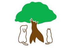 がじゅまる動物病院