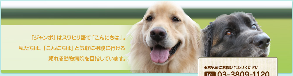 ジャンボどうぶつ病院