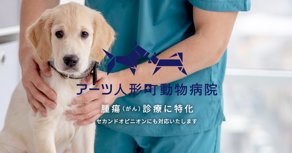 アーツ人形町動物病院