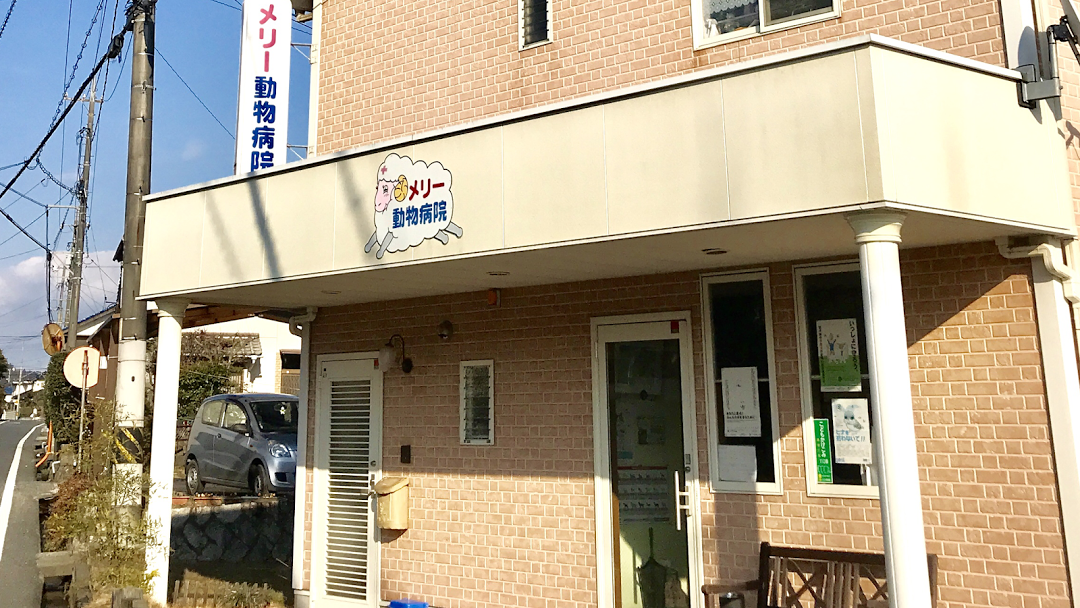 メリー動物病院