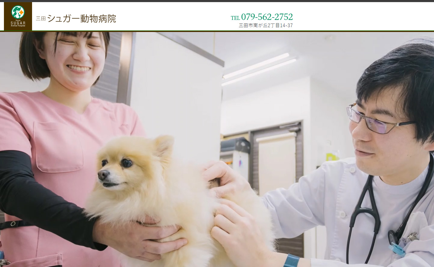 三田シュガー動物病院
