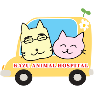 かず動物病院