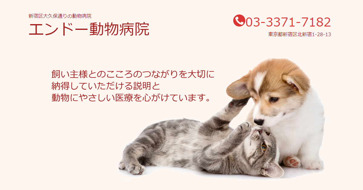 エンドー動物病院