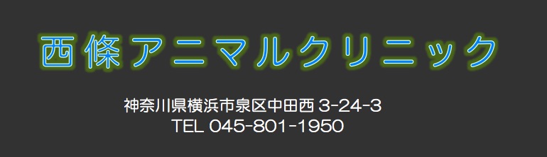 西條アニマルクリニック