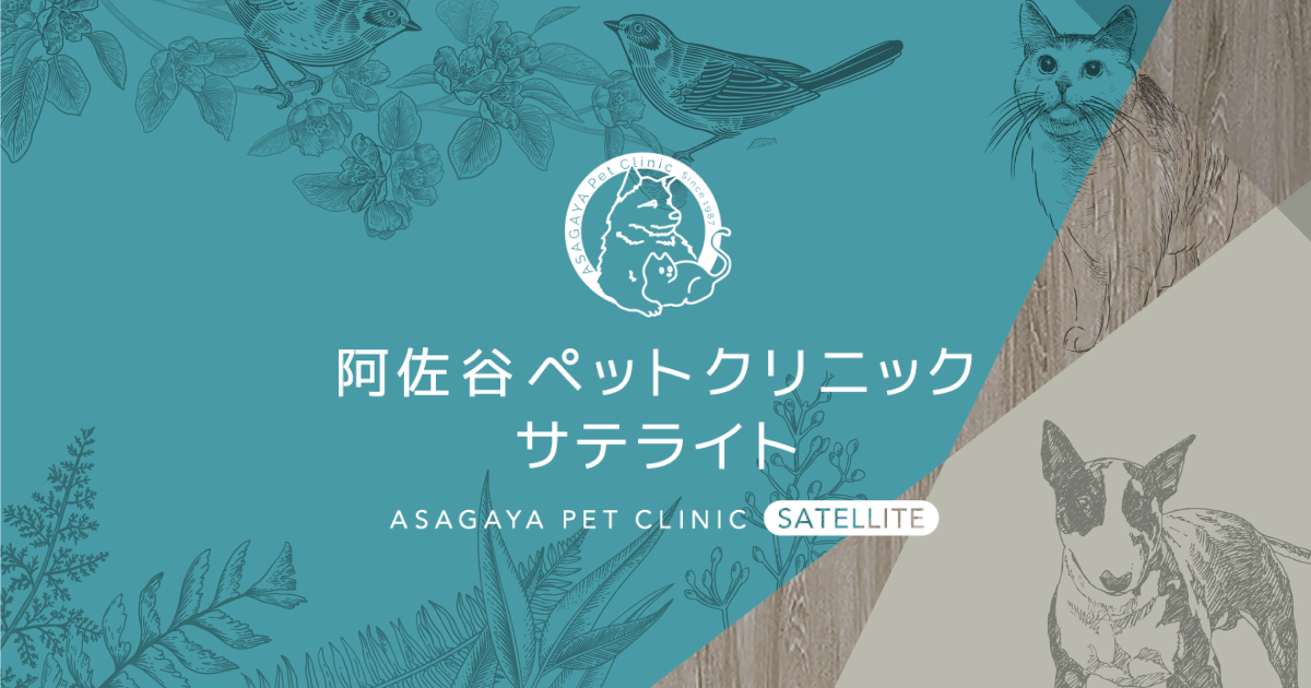阿佐谷ペットクリニックサテライト