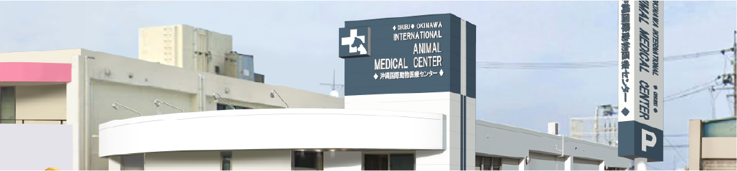 沖縄国際動物医療センター 中部病院