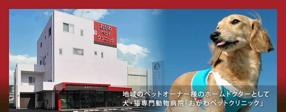 おがわペットクリニック