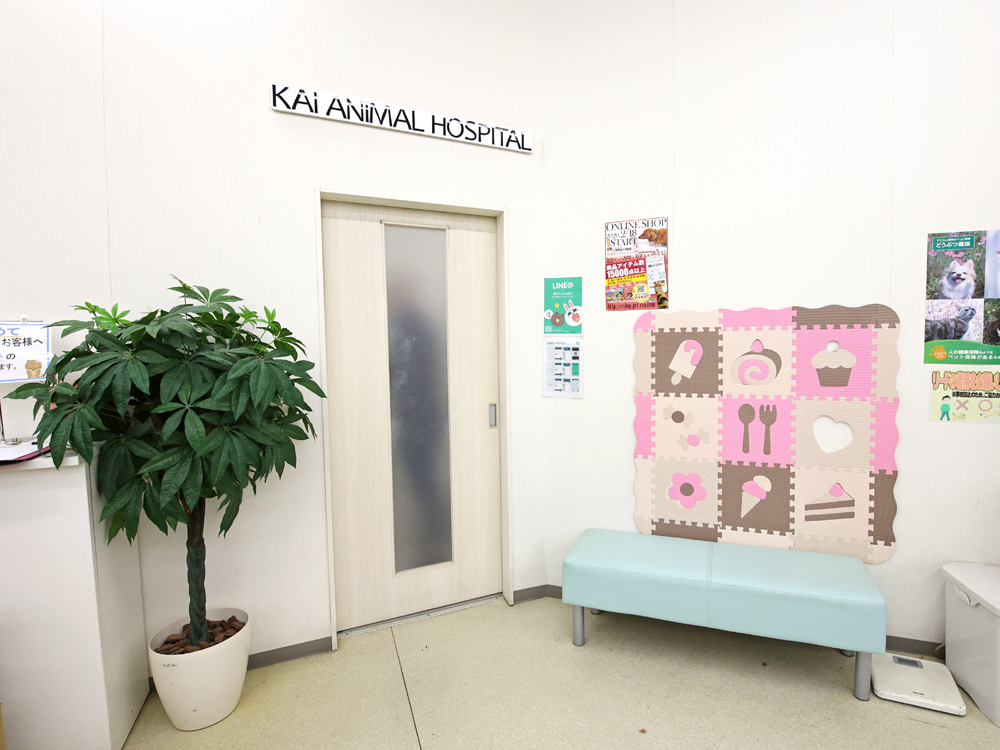 海動物病院　川口戸塚往診所