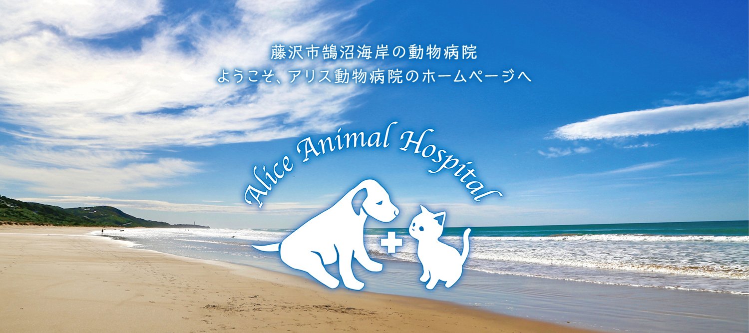 アリス動物病院