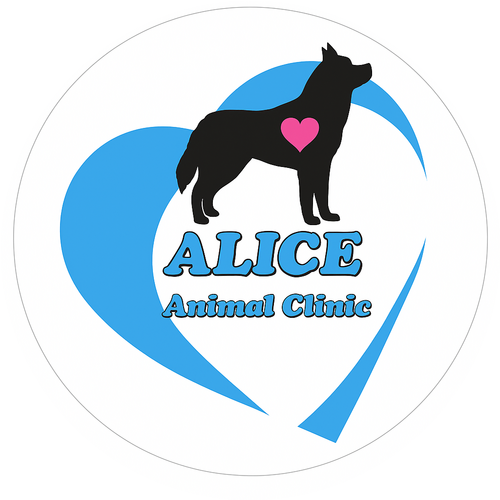 アリス動物病院