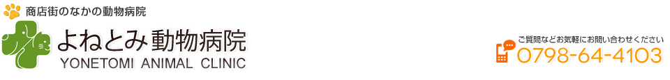 よねとみ動物病院