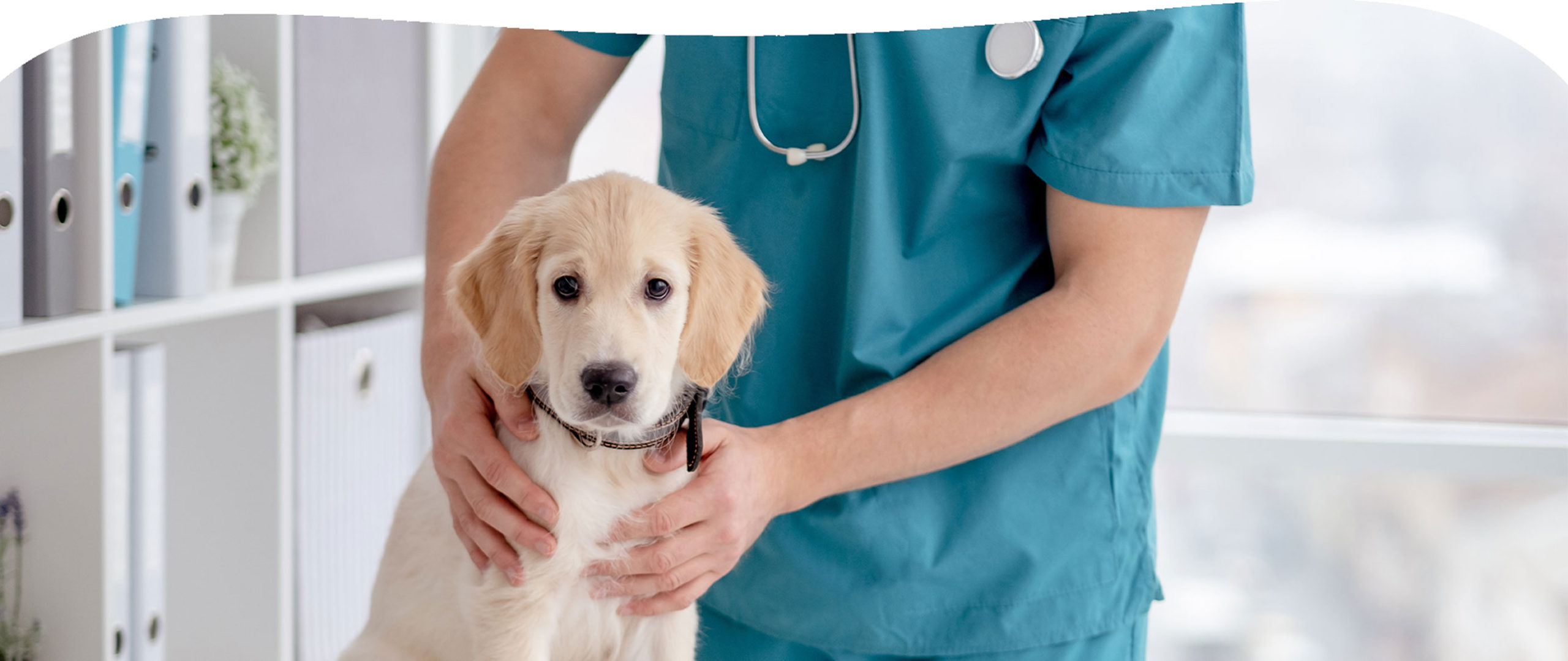 キャンベル動物病院