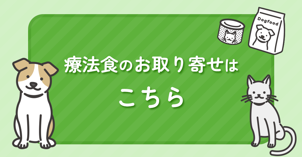 ソラリス動物病院