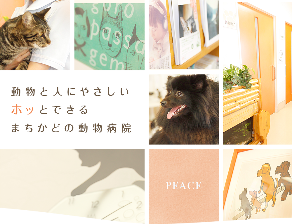 ふじさき動物病院