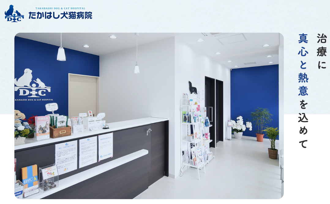 たかはし犬猫病院