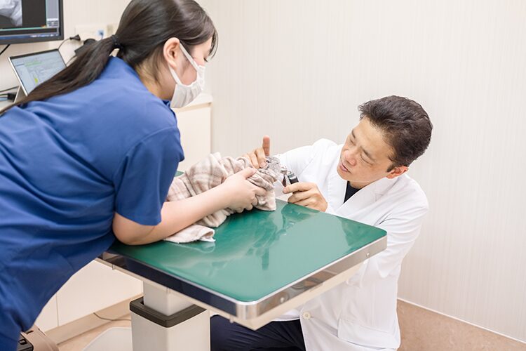 みわエキゾチック動物病院