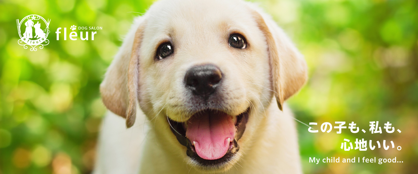 ドッグサロンfleur