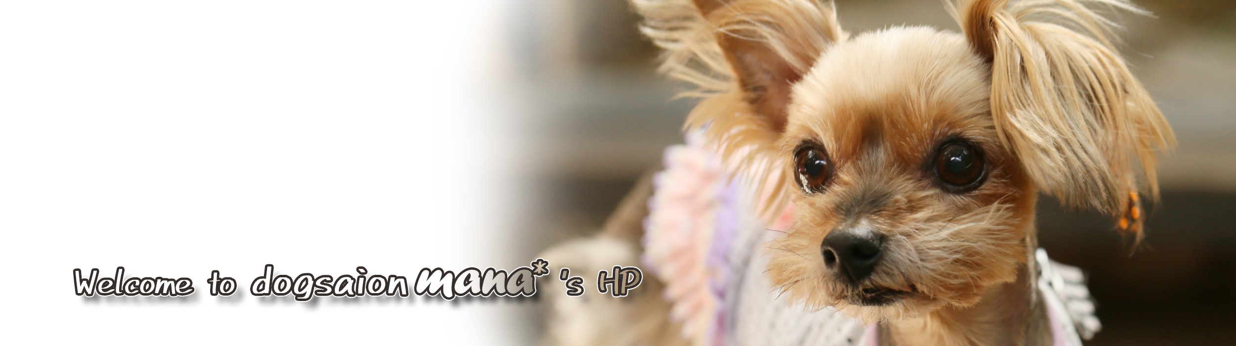 ドッグサロンmana*