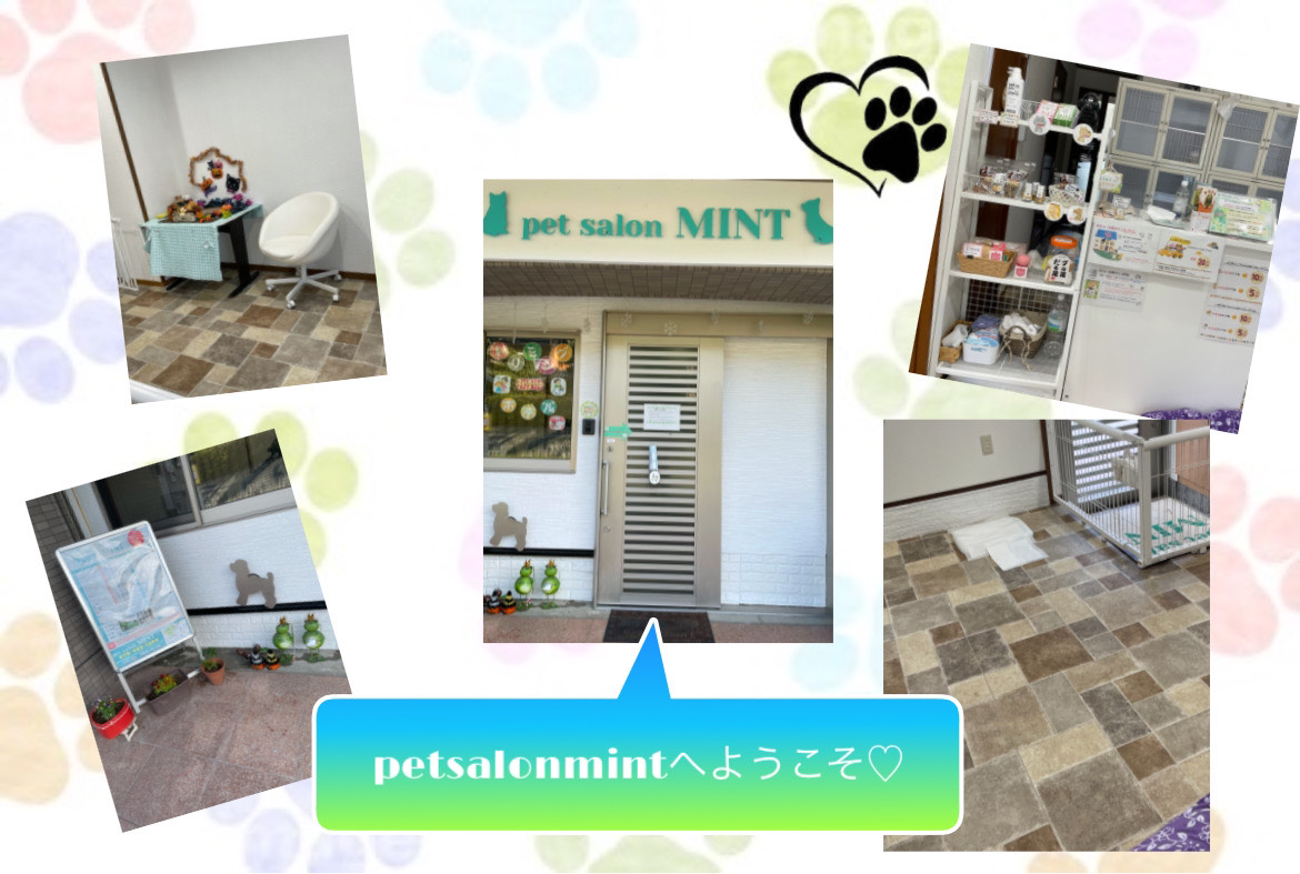 pet salon MINT