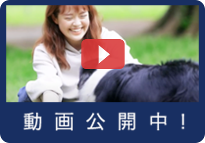 千葉seaside動物医療センター