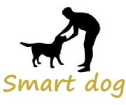 smart-dog