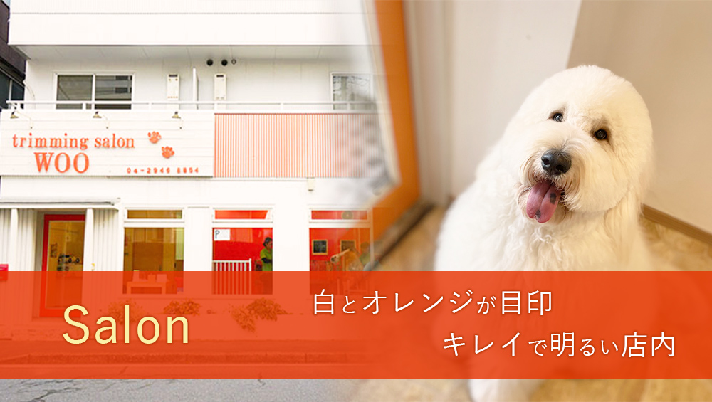 trimming salon WOO (トリミングサロンウー)